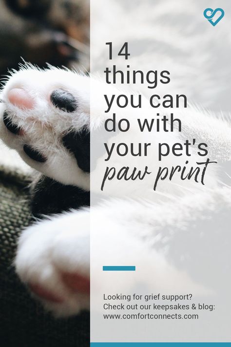 Paw Print Sayings, Cat Paw Print Keepsake, Pet Memorial Paw Print, Animal Paw Prints Craft, Paw Print Ideas Pet Memorials, Paw Print Crafts Diy, Dog Paw Print Ideas, Diy Pet Memorial Ideas Dogs, Pet Fur Keepsake