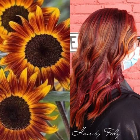 Sunflower hair, red hair, sunflower, red highlights, yellow hair, orange hair, red sunflower, burnt red, low lights, goldwell, elumen, #hairbyfeely #letmefeelyyourhair Red Hair With Yellow Highlights, Sunflower Ombre Hair, Sunflower Hair Color Ombre, Orange And Red Highlights, Sunflower Hair Color, Red Orange Yellow Hair, Burnt Orange Hair Color, Red Low Lights, Goldwell Elumen