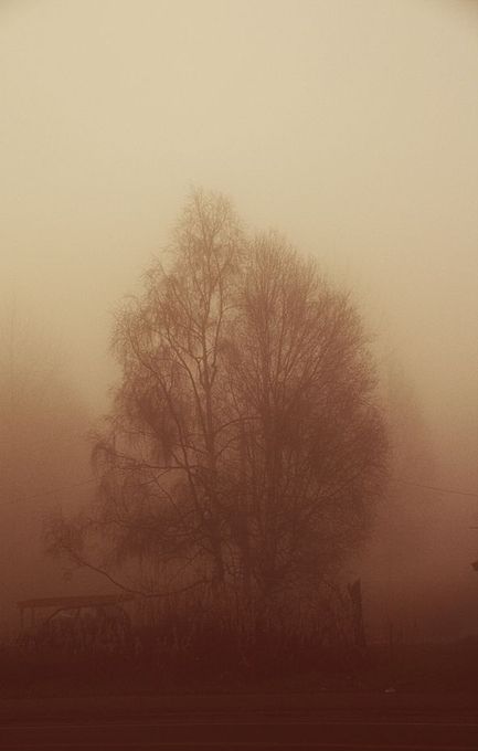 Surounded in Sepia by eskimotwila - ViewBug.com Sepia Tone Photography, Sepia Color Palette, Sepia Aesthetic, Sepia Photos, Sepia Art, Rustic Color Palettes, Sepia Color, Cold Wax Painting, Glass Menagerie