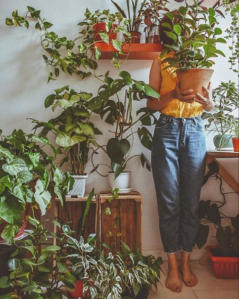 Plant Mom Aesthetic, Plant Photography, Plant Aesthetic, House Plants Decor, With Mom, Plant Mom, Plant Lady, The Plant, Green Aesthetic