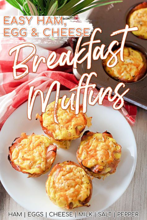 Ham Egg Muffin Cups, Ham And Cheese Egg Bites, Egg And Ham Cups, Ham And Egg Muffin Cups, Breakfast Ham Cups, Easy Breakfast For Kids, Ham And Cheese Egg Muffins, Ham And Egg Cups, Ham Egg Cups