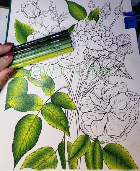 Art Color Pencil, Art Colored Pencil, Colored Pencil Art Projects, Blending Colored Pencils, Pencil Techniques, Color Pencil Illustration, Gardens Coloring Book, Prismacolor Art, Colored Pencil Tutorial