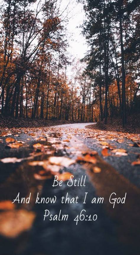 Fall Wallpaper Aesthetic Bible Verse, Fall Bible Verses Wallpaper Aesthetic, Fall Bible Quotes, Bible Verse Fall Wallpaper, Fall Christian Quotes, Bible Verses Fall Background, Fall Bible Verses Wallpaper, Autumn Bible Verse Wallpaper, Autumn Christian Wallpaper