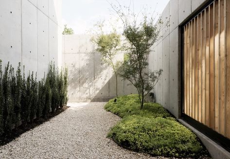 Japandi Garden, Box House, Concrete House, Box Houses, Concrete Design, Interior Garden, Modern Landscaping, Green Life, House And Home Magazine