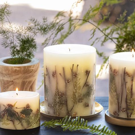 One of our favorite candles of the season. Forest- winding path through misty woods of cedarwood and pine: crushed leaves and wet fir needles underfoot. #candles #holidayscents #madeinusa #gifts #womensupportingwomen Magic Bookstore, Candles With Flowers, Misty Woods, Coffee Table Books Decor, Fir Needles, Botanical Candle, Travel Tin Candles, Holiday Party Kids, Winding Path