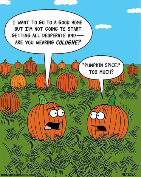 This one made me laugh!!! #fall #autumn #fallmemes #memes #psl #pumpkinspice #pumpkinspicelattes #pumpkins #pumpkinpatch Halloween Funny Pictures, The Awkward Yeti, Halloween Humor, Fall Memes, Bibliotheque Design, Halloween Jokes, Holiday Cartoon, Halloween Memes, Halloween Cartoons