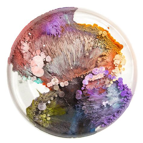 Josie Lewis - Design Crush Decay Art, Arrow Art, Growth And Decay, Petri Dishes, Biology Art, Bio Art, Petri Dish, Original Abstract Art, Art Courses