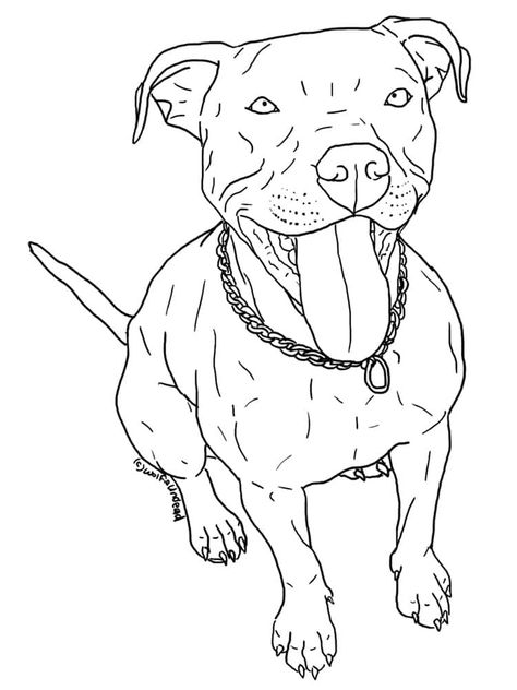 Pitbull Colors, Pitbull Drawing, Pitbull Tattoo, Drawing Dogs, Pitbull Art, Red Nose Pitbull, Puppy Coloring Pages, Pitt Bull, Puppy Drawing