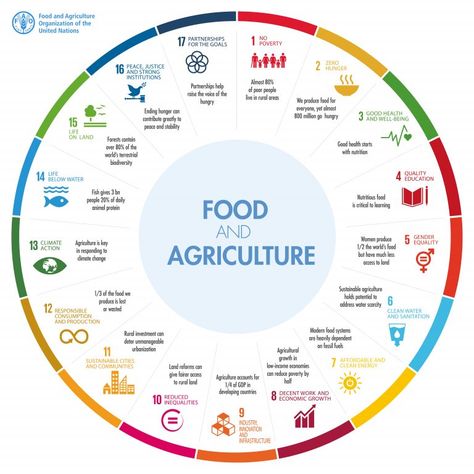 Future of Food: Exploring Challenges to Global Food Systems Global Citizenship, Food F, Sustainable Agriculture, Food System, Food Security, Sustainable Development Goals, Animal Protein, Sustainable Food, Global Recipes