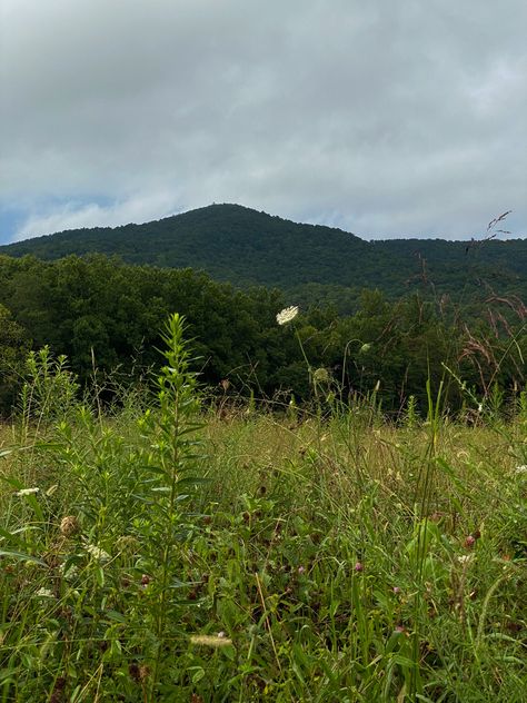 Tennessee Appalachia, Southern Appalachia Aesthetic, Tennessee Aesthetic Country, Rural Tennessee, Appalachian Mountains Aesthetic, Bluegrass Aesthetic, Appalachian Aesthetic, Appalachia Aesthetic, Tennessee Aesthetic