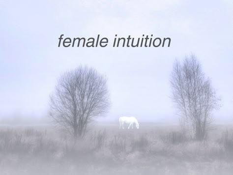 female intuition with horse in mist in the background Just Girly Things Funny, Just Girly Things Aesthetic, Just Girly Things Tumblr, Female Hysteria, Michael Scott, Im Going Crazy, Girl Blog, Silly Me, Lose My Mind