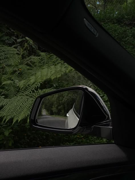 A Car, The Back, Trees, Mirror, Green, On Instagram, Instagram