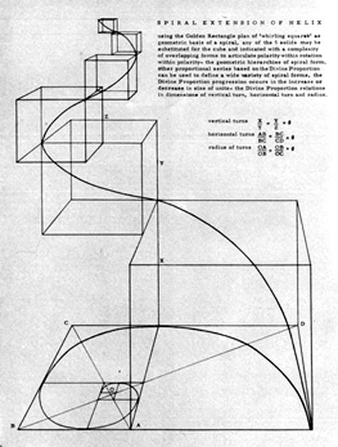 Divine Proportion, Fibonacci Sequence, Graphisches Design, Fibonacci Spiral, Sacred Geometry Art, Sacred Architecture, Math Art, Architectural Drawing, Geometry Art