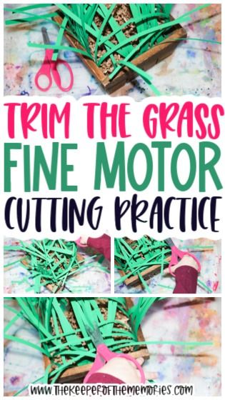 Practice fine motor skills with your preschoolers using this Trim the Grass Safari Fine Motor Activity. It's perfect for your next safari preschool theme! #safari #preschool #grass Safari Activity Preschool, Zoo Animals Fine Motor Activities, Jungle Fine Motor Activities, Farm Fine Motor Activities Preschool, Safari Theme Preschool Activities, Safari Themed Activities For Kids, Preschool Jungle Activities, Safari Preschool Theme, Safari Preschool Activities