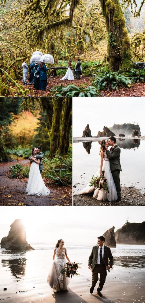 Nature Elopement Photos, Creative Elopement Photos, Hoh Rainforest Wedding, Hoh Rainforest Elopement, Rainforest Elopement, Wedding Dresses Groom, Woodland Elopement, Bug Wedding, Cairns Wedding