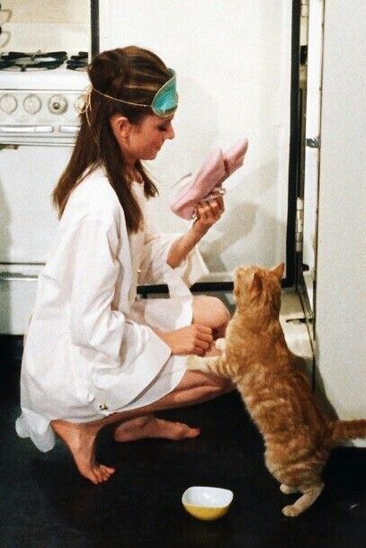 Aubrey Hepburn, Katharine Ross, Holly Golightly, Freddy Mercury, Audrey Hepburn Style, Hepburn Style, Breakfast At Tiffanys, Unique Cats, Star Citizen