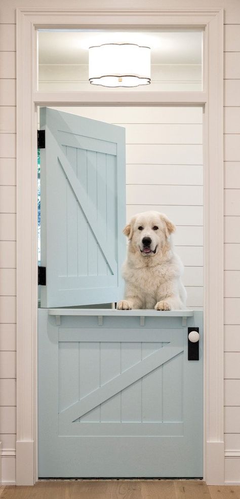 Pale Blue Dutch Door with White Dog Stable Door Kitchen, Blue Shiplap, Cottage Laundry, Stable Doors, Lake House Interior, Open Family Room, Cottage Shabby Chic, Stable Door, Blond Amsterdam