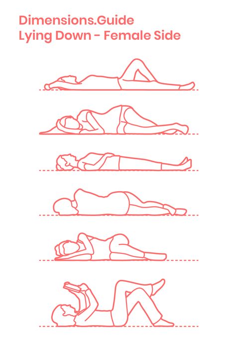 Assortment of women lying down as viewed from the side elevation. Poses and postures include variations of women lying on their back or lying on their side that may be useful for including in bedroom drawings or for relaxed outdoor settings such as a park. Downloads online #people #humans #women #sleep Lying People, Lying On Side Reference, Two People Lying Down Pose, Sleeping Poses Drawing, Person Laying On Side, Person Laying On Their Side Reference, Person Lying Down Drawing, How To Draw A Bedroom, Person Laying Down Reference Side View