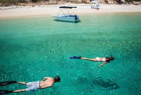 Snorkelling at Lizard Island, Great Barrier Reef Great Barrier Reef Snorkeling, Tahiti Travel, Where Is Bora Bora, Best Island Vacation, Lanai Island, Beach Love, Sea Kayaking, Philippines Travel, Beach Paradise