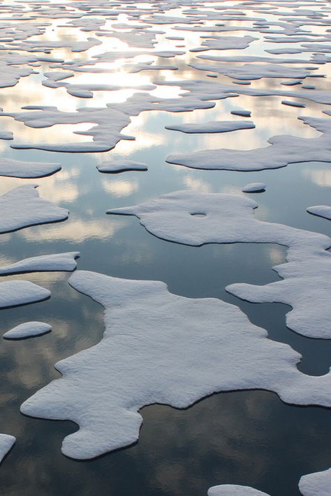 When Lada saves Radu. Ice Caps Melting, Melting Ice Caps, Ice Pattern, Ice Texture, Melting Snow, Snow Pattern, Cloud Light, Snow Water, Arctic Sea