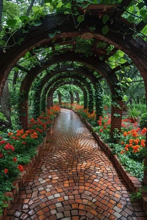 Walkway Design, Garden Walkway, Garden Pathway, Backyard Decor, Backyard Landscaping Designs, Garden Paths, Dream Garden, Garden Planning, Backyard Patio