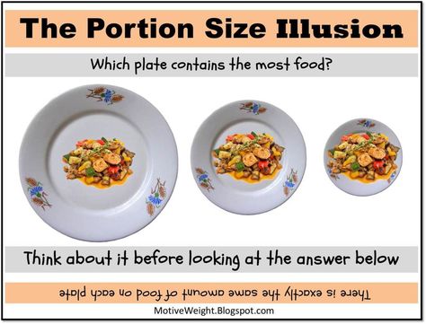 portion size illusion Portion Distortion, Eating Healthy On A Budget, Bariatric Sleeve, Smaller Portions, Healthy On A Budget, Plexus Slim, Food Cost, Health And Wellness Quotes, Portion Sizes