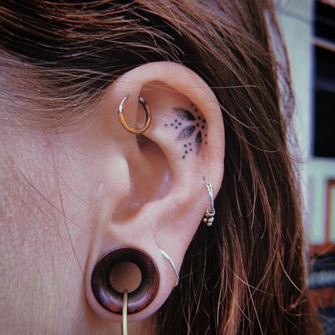 Healed Ear Tattoo, Hand Poke Ear Tattoo, Ear Tattoo Healed, Inside Ear Tattoos, Ear Tats, Inner Ear Tattoo, Behind Ear Tattoos, Flamingo Tattoo, Cuff Tattoo