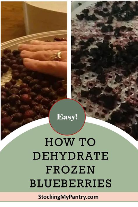 Discover the ultimate guide to dehydrating frozen blueberries, from preparation to storage. Dehydrate Blueberries, Dehydrating Blueberries, Dehydrated Blueberries, Fruit Leather Dehydrator, Dehydrating Fruit, Dehydrator Recipes Fruit, Homemade Fruit Leather, Prepper Pantry, Hiking Snacks