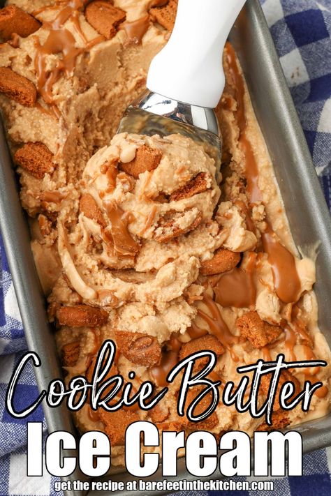 Cookie Butter Ice Cream Cookie Butter Ice Cream, Cookie Monster Ice Cream, Monster Ice Cream, Homemade Hot Fudge, Coconut Milk Ice Cream, Butter Ice Cream, Biscoff Cookie Butter, Oatmeal Cream Pies, Homemade Vanilla Ice Cream