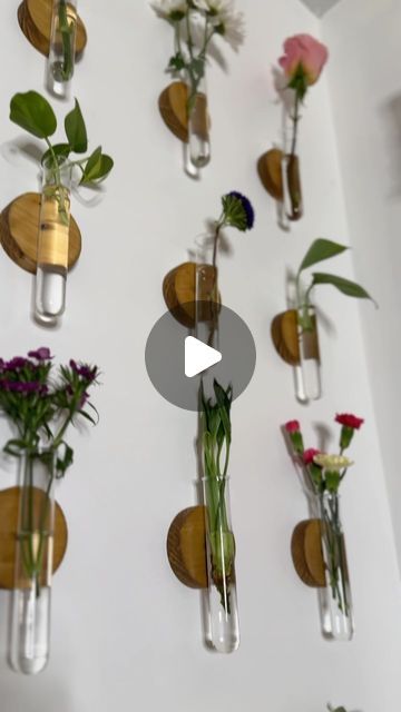 Alexis Simmons on Instagram: "The results vs the process of our DIY Planter Wall 🪴🌸🌱  We included a mix of flowers and propagated plants.   What’s your favorite house plant?   #planterwall #planter #diyplanter #propagationstation" Propagation Wall Diy, Propagated Plants, Propagation Wall, Succulent Ideas, Planter Wall, Diy Planter, Diy Planters, House Plant, Garden Diy