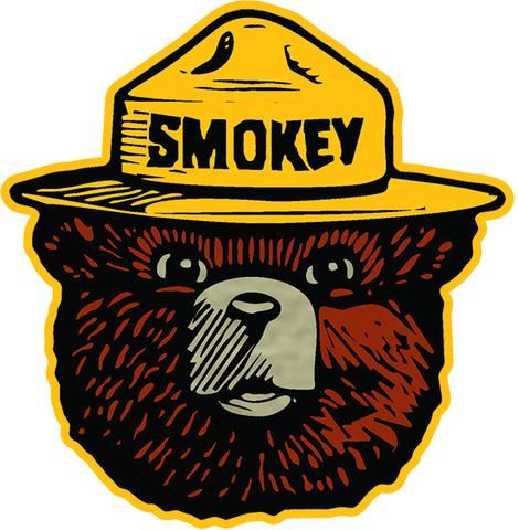 Premium durable vinyl sticker featuring Smokey the Bear! Durable vinyl sticker DIECUT Shape Laminated to protect from scratching, fading & weather Printed in the USA Size: 4" x 4" Bear Decal, Smokey The Bear, Weather Print, Smokey Bear, Smokey The Bears, Bear Tattoo, Nature Stickers, Bear Pictures, Bear Hat