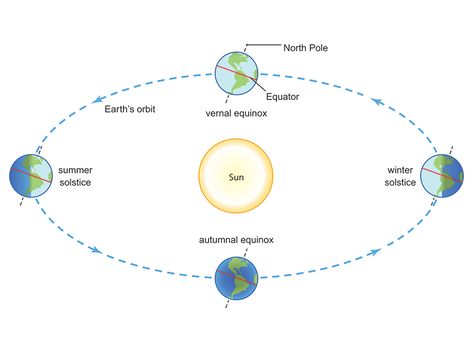 What's the Difference Between a Solstice and an Equinox? | Britannica.com Autumnal Equinox, Vernal Equinox, Earth Orbit, Winter Sun, Winter Solstice, The Seasons, Summer Winter, Summer Sun, Astrology