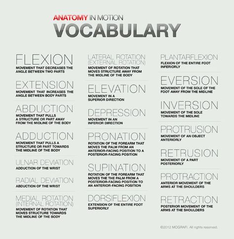 Note from TeamMona: Thanks to Anatomy in Motion, here's a handy little chart that explains what your Pilates instructor or body therapist is saying when they forget to use common language. ;-) Nursing Vocabulary, Paramedic Training, Physiotherapy Student, Ace Study, Pt School, Physical Therapy Student, Physical Examination, Vet Medicine, Nurse Stuff