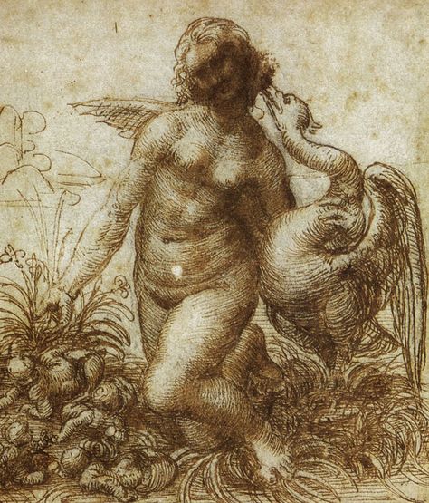 Leda And The Swan, Italian Castle, Uffizi Gallery, Master Drawing, Greek Myths, Old Master, Metropolitan Museum Of Art, Art History, Les Oeuvres