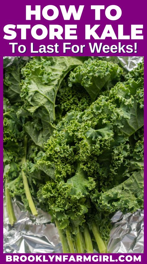 fresh kale laying on aluminum foil How To Store Kale, Cooked Kale Recipes, Harvesting Kale, Kale Crisps, How To Cook Kale, Kale And Spinach, Easy Healthy Lunches, Kale Recipes, Best Vegetarian Recipes