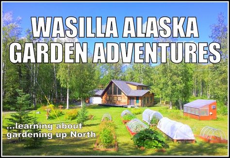 Garden Plotting, Alaska Gardening, Alaska Garden, Appalachian Homestead, Mountain Homestead, Alaska Homestead, Alaska Living, Wasilla Alaska, Shed Frame