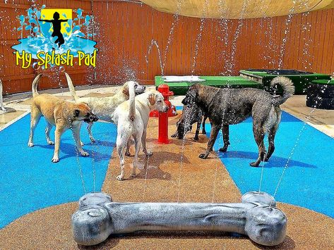 Dog Splash Pad, Best Friend Left, Spray Park, Splash Park, Pet Resort, Dog Business, Dog Kennel Outdoor, Dog Ideas, Splash Pad