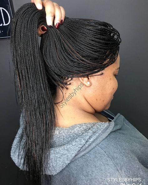 The Purple Head Stylist on Instagram: “Just a reminder.... #senegalesetwists #senegalesetwist #ropetwistmiami #ropetwist #MiamiBraids #MiamiTwist #miamibraider” Micro Senegalese Twist, Shoulder Length Micro Braids, Long Micro Braids, Spiral Micro Twist, Microbraid Hairstyles Micro Braids, Straight Micro Braids, Big Micro Braids, Crochet Braids Hairstyles Curls, Natural Hair Box Braids