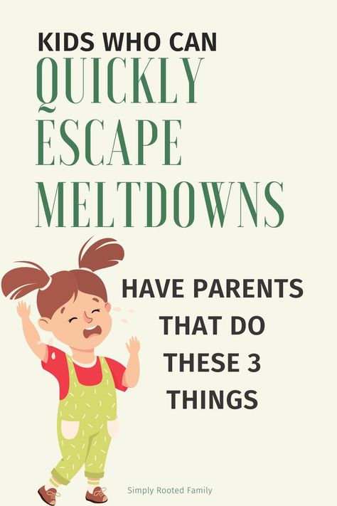 positive parenting, positive discipline, gentle parenting, meltdowns in children, disciplining toddlers, temper tantrums vs meltdowns One Year Old Tantrums Tips, Three Year Old Tantrums, Tantrums Quotes, Emotional Regulation For Kids, Toddler Meltdowns, Tantrum Kids, Emotional Books, Big Emotions, Kids Help