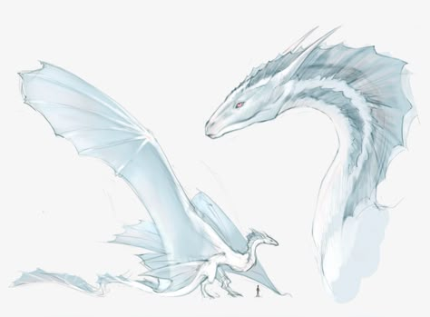 Meet Thairey, what my dragon would be, if i was a Targaryen)  #dragon #art #digitalartist #mydragon #houseofthedragon #gameofthrones Targaryen Art Dragon, Cool Dragon Designs, Wyvern Oc, Mythical Dragons Beautiful, White Dragon Character Design, Dragon Rider Aesthetic, White Dragon Aesthetic, Silver Dragon Art, Dragon Classification