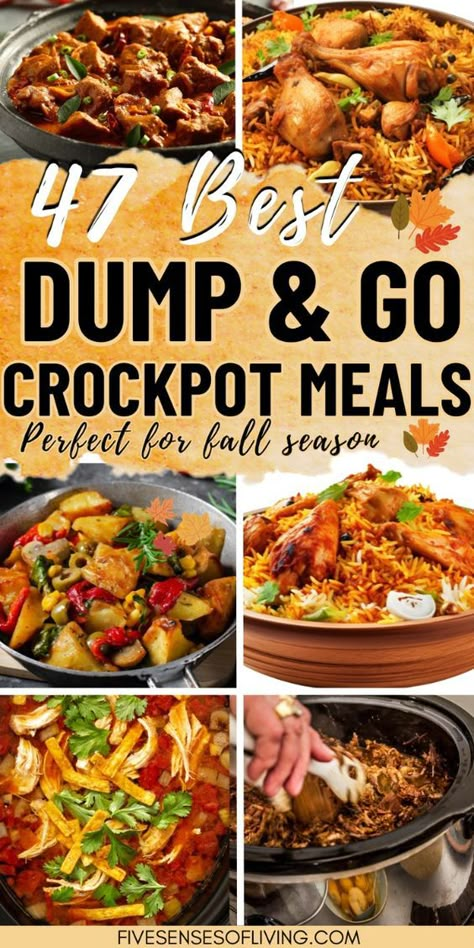 Make dinner effortless with these Slow Cooker Dump Meals, perfect for busy days! Just toss in the ingredients and let your Crockpot do the work with these easy dump recipes, including delicious casseroles and ground beef dishes. These freezable meals are ideal for meal prepping and are perfect for cozy fall dinners. Simplify your cooking routine with these convenient and tasty Slow Cooker recipes. Quick Slow Cooker Meals Easy Dinners, Savory Crockpot Meals, Easy Crockpot Fall Recipes, The Best Crockpot Meal, Great Crockpot Meals, Meal Ideas Slow Cooker, Meals In Crockpot Easy Dinners, Fast Easy Crockpot Meals, Fall Dump Dinners