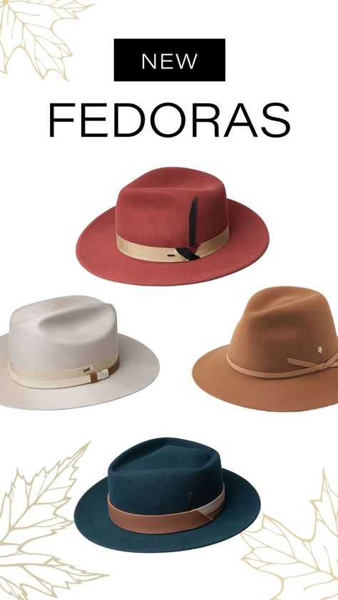 Pictured: • Kinns Fedora by Bailey 1922 • Carly Fedora by Helen Kaminski • Darwin Fedora by Bailey 1922 • Sprake Fedora by Bailey 1922 Trendy Hats, Helen Kaminski, Trendy Hat, Quality Hats, Elevate Your Look, Classic Hollywood, Hat Making, Wide Brimmed, Individual Style