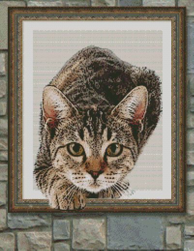 a cat out of the frame, 40 colors cross stitch, 200 x 269 stitches. code a1450 Cat Cross Stitch Patterns, Deer Cross Stitch Pattern, Cross Stitch Cat Pattern, Cat Cross Stitch Pattern Free, Cat Cross Stitch Charts, Unusual Animal Friendships, Large Cross Stitch Patterns, Xmas Cross Stitch, Cat Cross Stitch Pattern