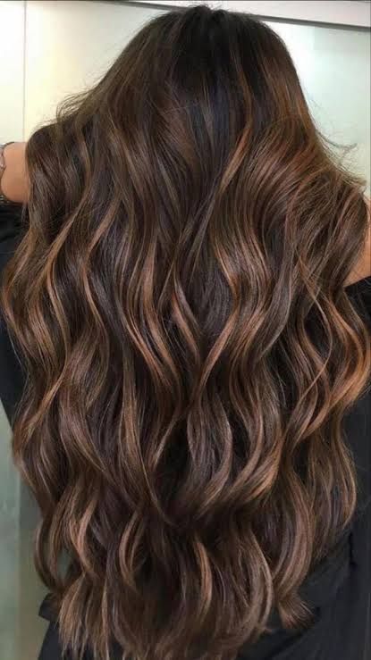 Hair Colour For Indian Skin, Cool Tone Hair Colors, Light Brown Hair Styles, Indian Long Hair, Brown Hair Styles, Rich Brown Hair, Light Brunette Hair, Rambut Brunette, Light Brunette