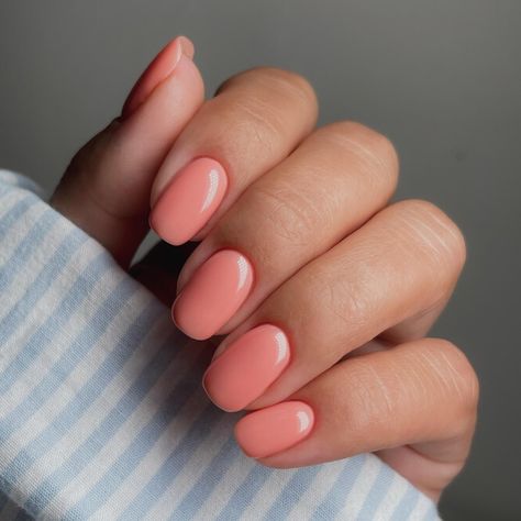 Spring Coloured Nails, Pink Classic Nails, Peach Shellac Nails, Summer Nails Subtle, One Colour Gel Nails, Peachy Nail Color, Pale Coral Nails, Plain Nail Colours, Peach Coral Nails