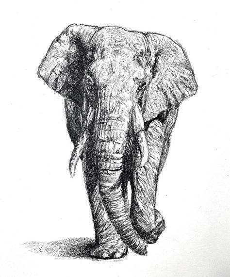 Drawing an Elephant with Pencil – Timed Drawing Exercise Elephant Drawing Ideas, African Elephant Illustration, Easy Elephant Drawing, Pencil Sketch Tutorial, Pencil Shading Techniques, Elephant Sketch, Side View Drawing, Drawing Legs, Elephant Tattoo Design