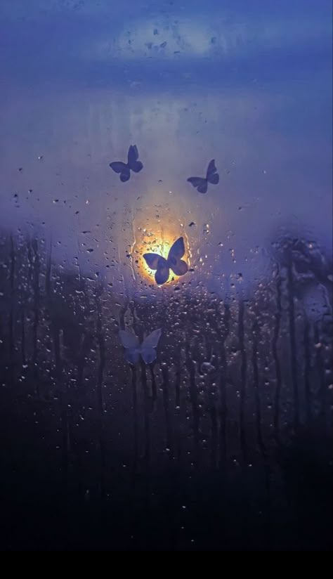 Water Drops, Butterflies, Water, Blue