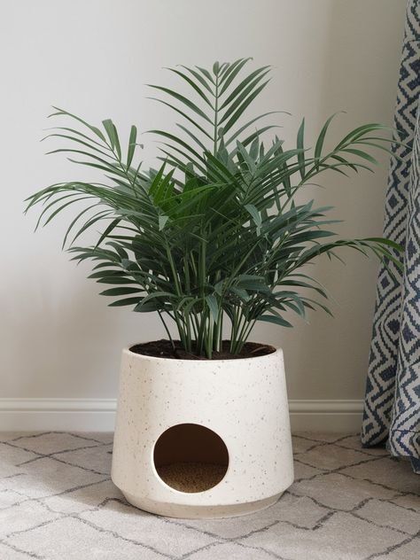 27 DIY Cat Litter Box Ideas – The DIY Desire Cat Litter Planter Diy, Hidden Cat Litter Box Ideas Diy Small Spaces, Plant Litter Box, Diy Cat Litter Box Ideas, Hiding Cat Litter Box, Cat Litter Box Ideas, Diy Litter Box, Litter Box Ideas, Diy Cat Litter