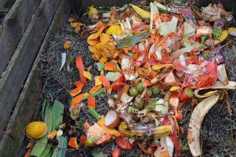 Start Small with Composting | Field Museum Composting Food Scraps, Diy Fertilizer, Lawn Mower Maintenance, How To Make Compost, Farmers Almanac, Composting At Home, Worm Composting, Field Museum, Old Farmers Almanac