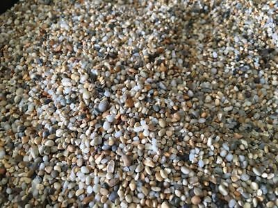 Black Sand Fish Tank, Fish Tank Substrate, Black Substrate Aquarium, Deck Redo, Fish Tank Gravel, Aquarium Substrate, Gravel Stones, Marimo Moss, Aquarium Gravel